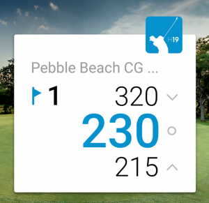 hole 19 apple watch manual